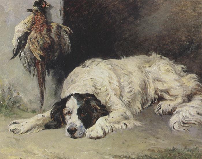 John emms An English Setter at the end of the Day (mk37)